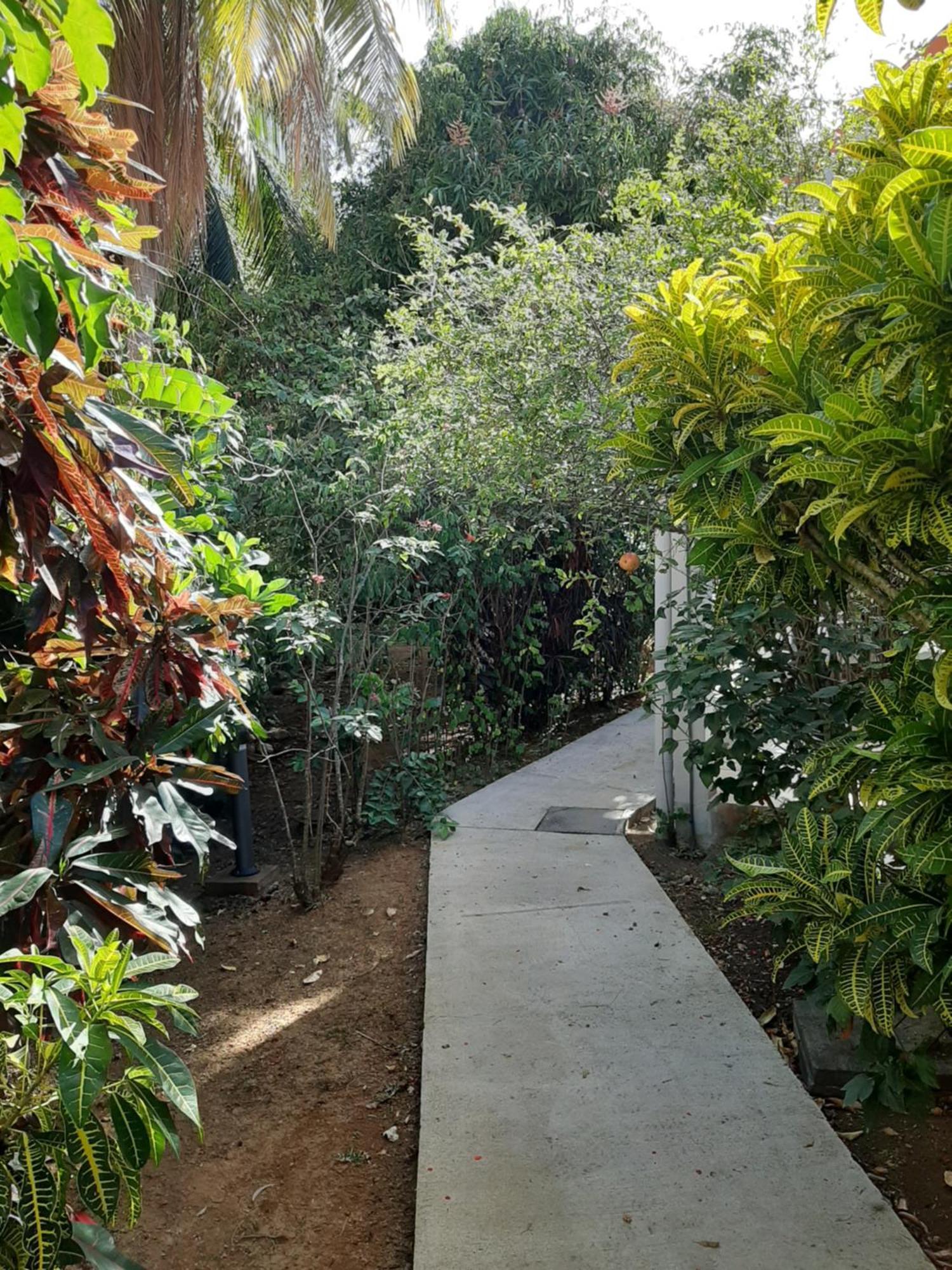 Residence Mon Refuge Grande Anse 外观 照片